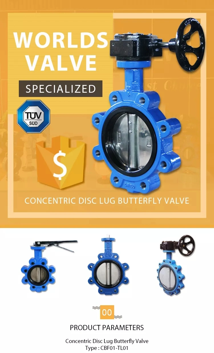 Marine Water Worm Gear Lug Type Butterfly Valve