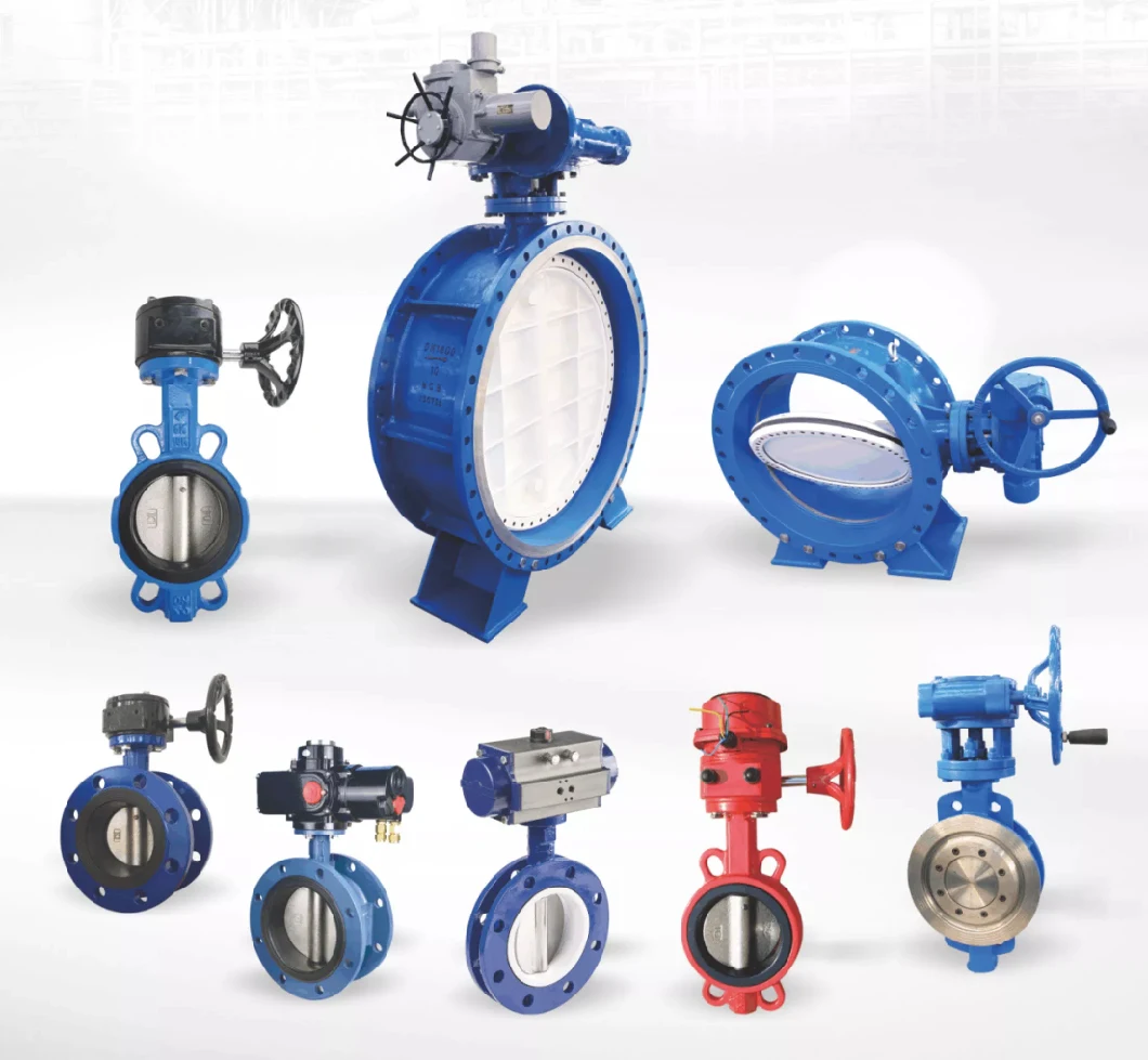 Marine Water Worm Gear Lug Type Butterfly Valve